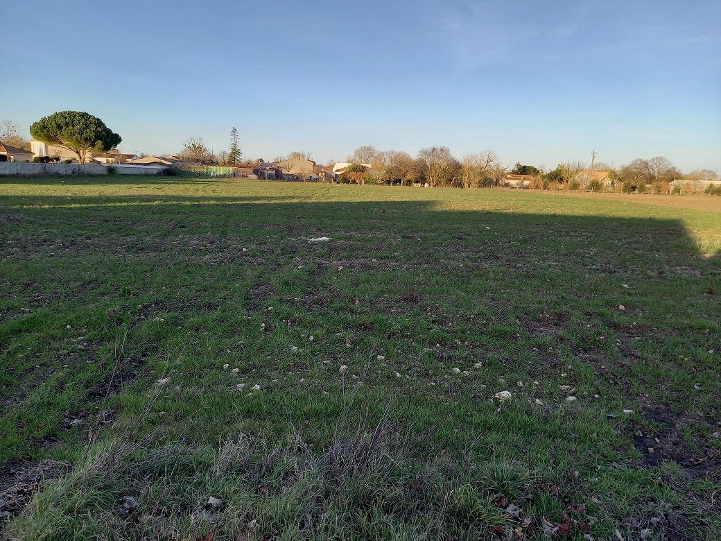 terrain en diffus en charente maritime