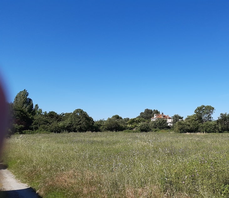 Meursac terrain 523m² viabilisé proche Saujon