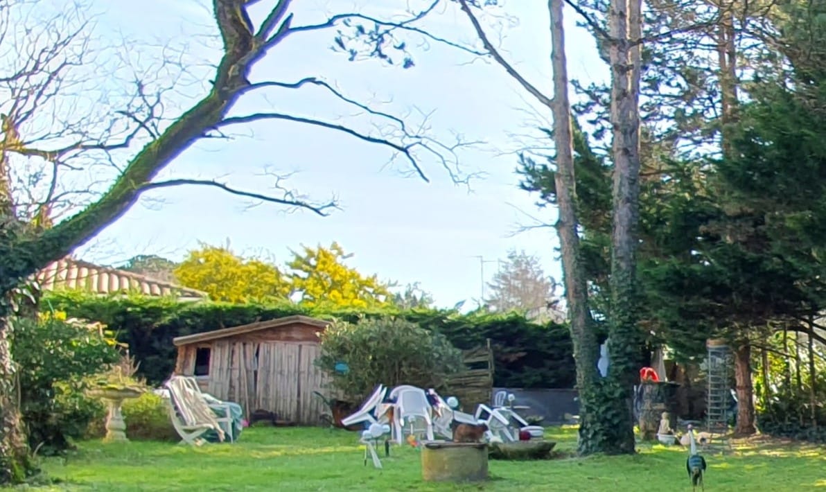 TERRAIN SAUJON CENTRE 650m²