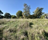 TERRAIN 960m² LA CLISSE entre Saujon et Saintes